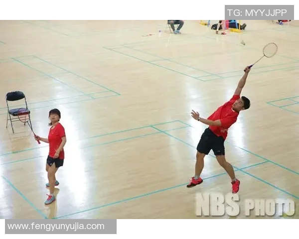 南京羽毛球队拼搏历程揭秘锦标赛背后的奋斗与荣耀