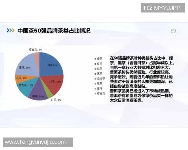 南京羽毛球队意识探讨与发展策略分析之研究报告