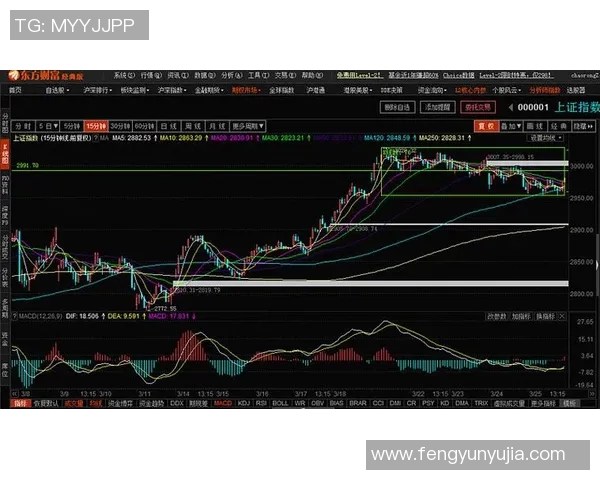 武汉羽毛球队与北京羽毛球队赛后复盘分析比赛节奏与战术对决