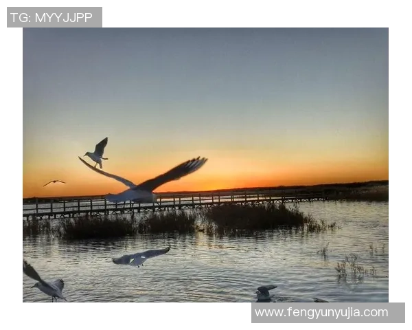 普约尔引领天下足球的传奇之路与不朽精神的传承与启示